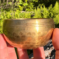 Tibetan Singing Bowl with Moldavite #63-Moldavite Life