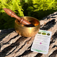 Tibetan Singing Bowl with Moldavite #63-Moldavite Life