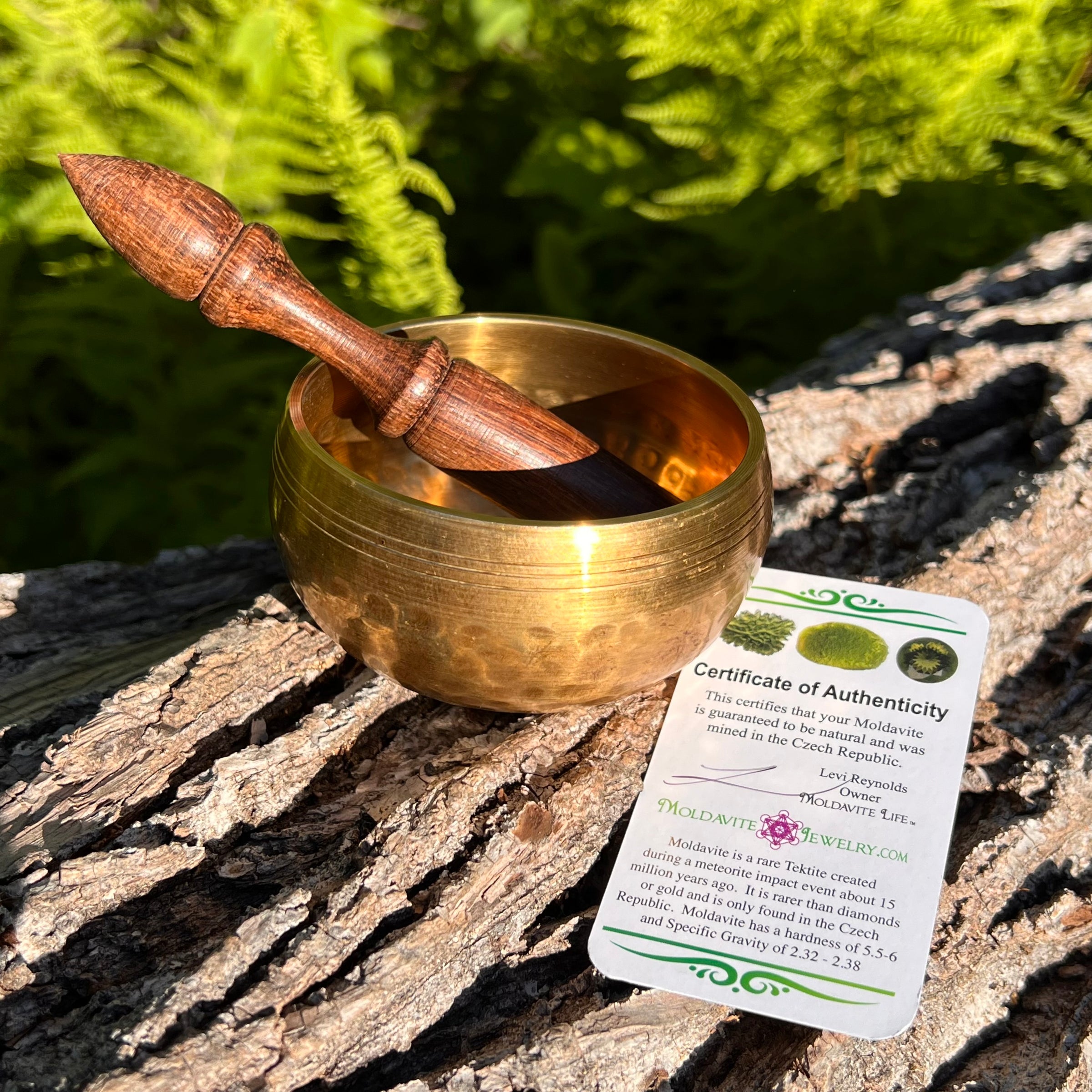 Tibetan Singing Bowl with Moldavite #63-Moldavite Life