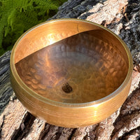 Tibetan Singing Bowl with Moldavite #64-Moldavite Life