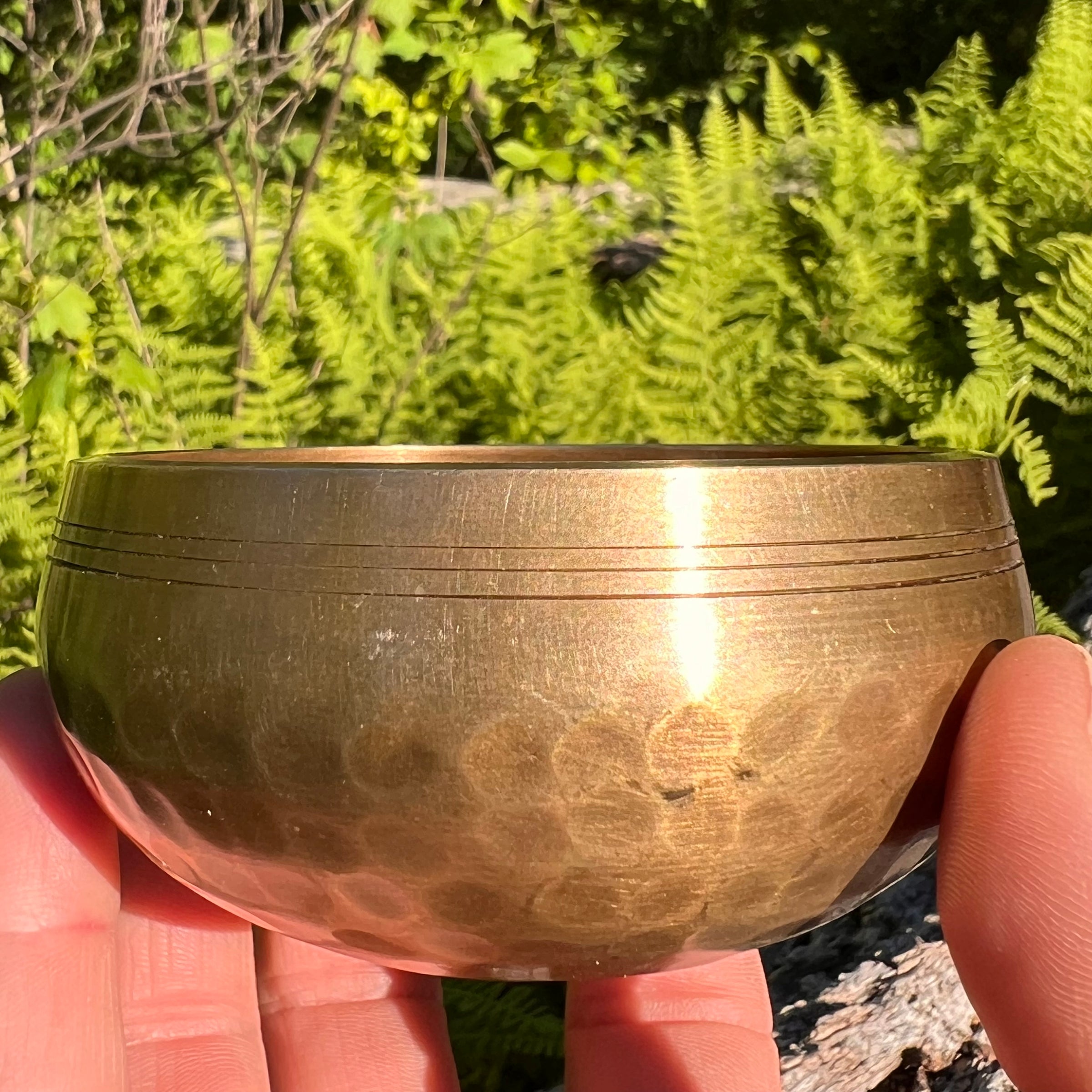 Tibetan Singing Bowl with Moldavite #64-Moldavite Life