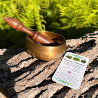 Tibetan Singing Bowl with Moldavite #64-Moldavite Life