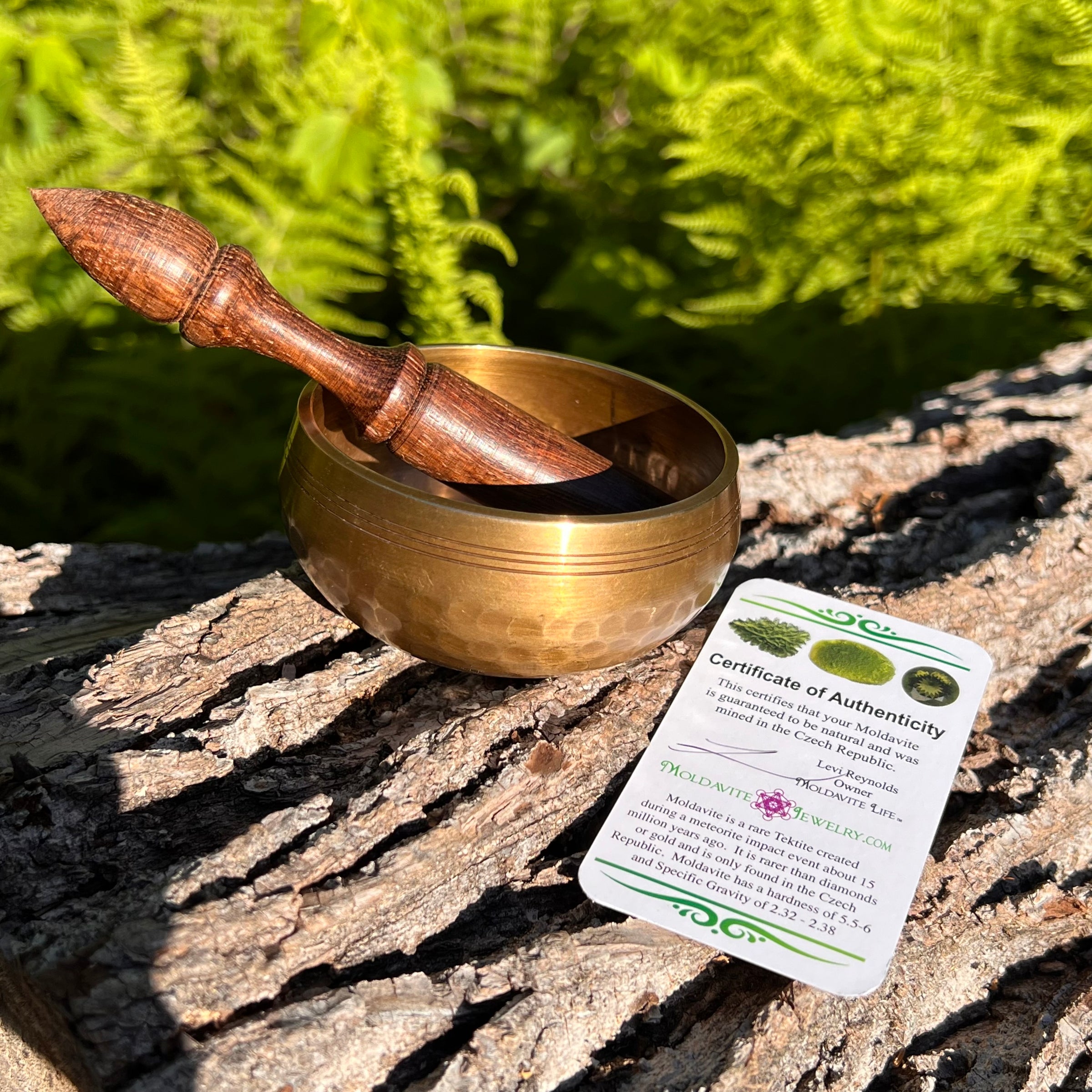 Tibetan Singing Bowl with Moldavite #64-Moldavite Life