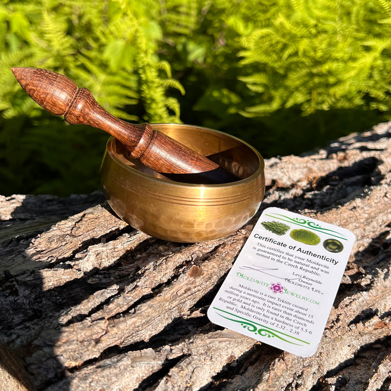 Tibetan Singing Bowl with Moldavite #64-Moldavite Life