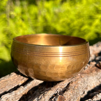 Tibetan Singing Bowl with Moldavite #64-Moldavite Life