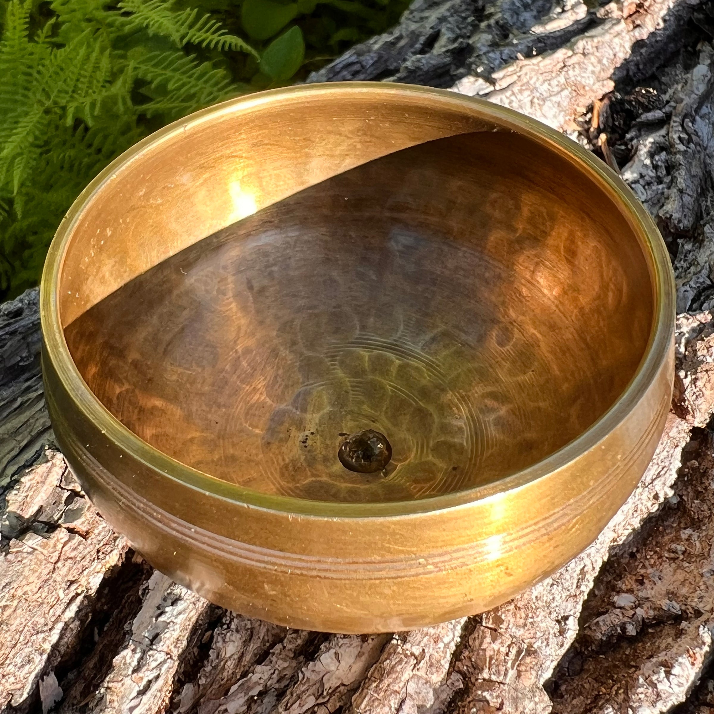Tibetan Singing Bowl with Moldavite #65-Moldavite Life