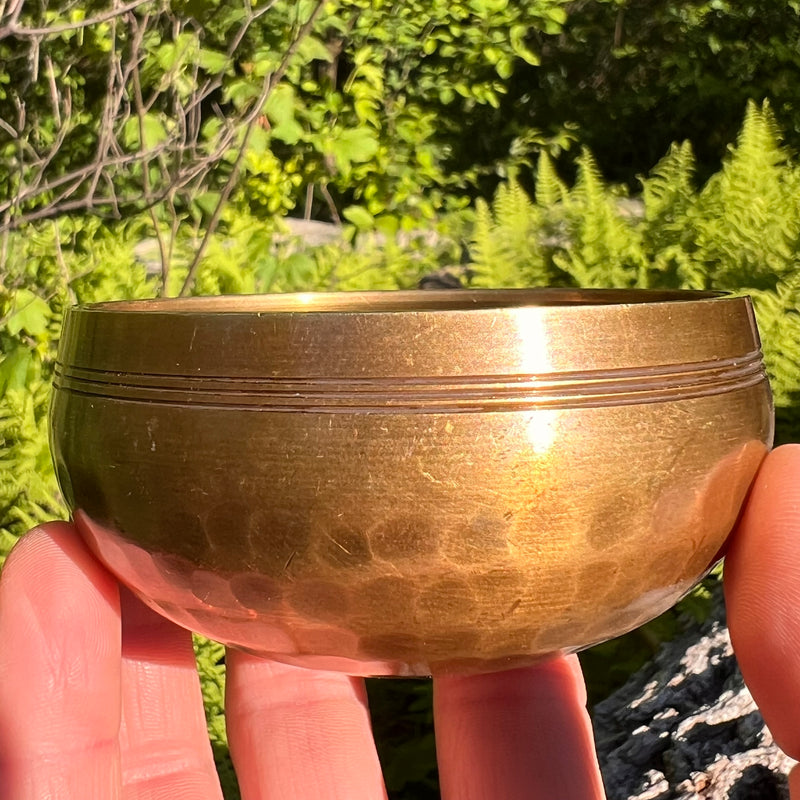 Tibetan Singing Bowl with Moldavite #65-Moldavite Life