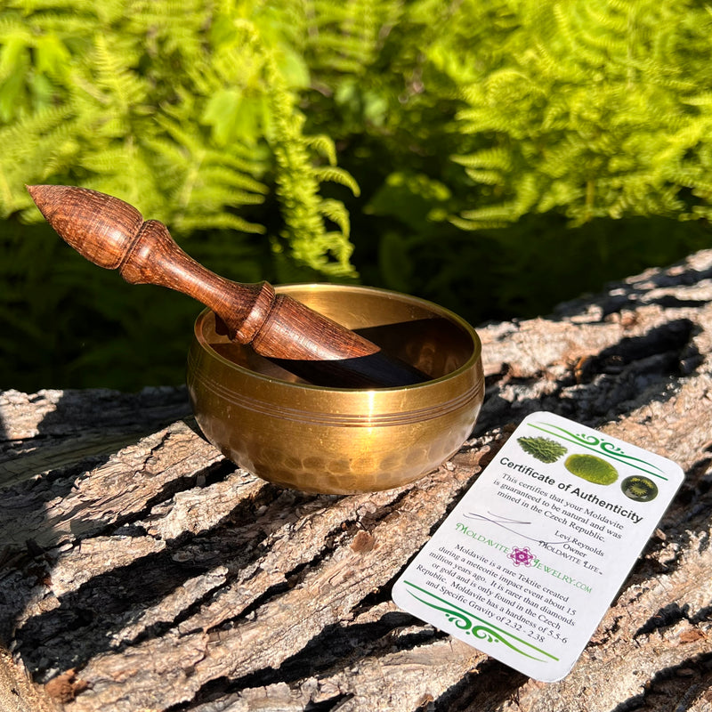 Tibetan Singing Bowl with Moldavite #65-Moldavite Life