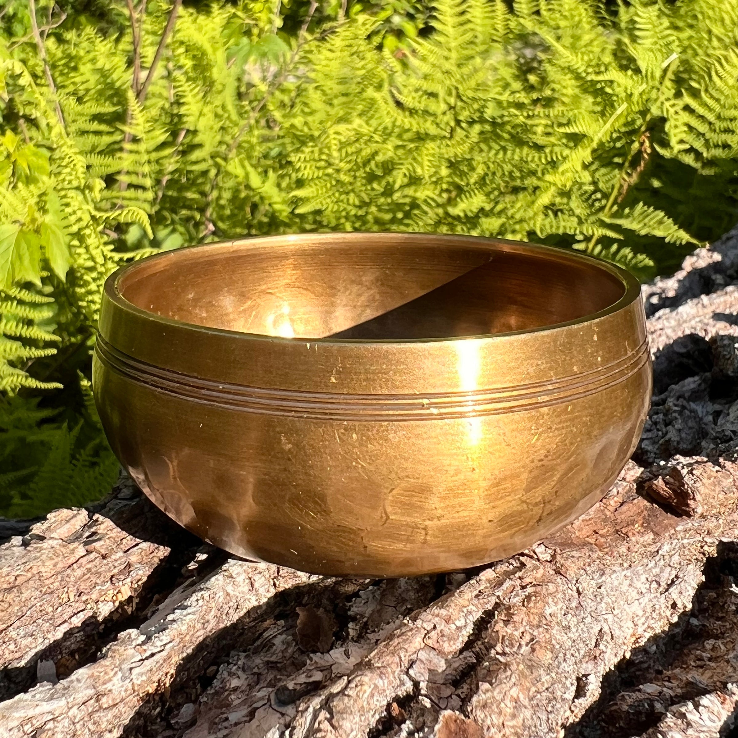 Tibetan Singing Bowl with Moldavite #65-Moldavite Life