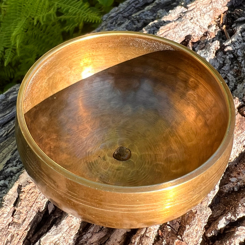 Tibetan Singing Bowl with Moldavite #66-Moldavite Life