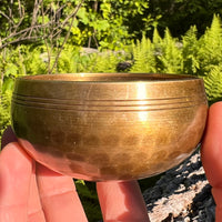 Tibetan Singing Bowl with Moldavite #66-Moldavite Life