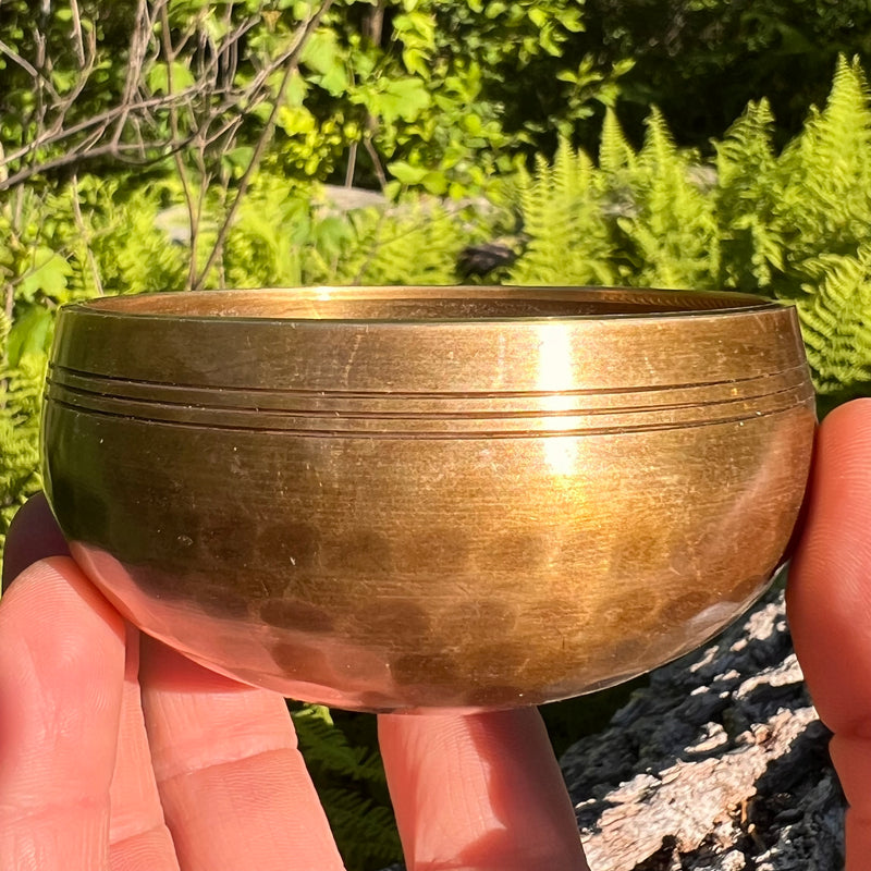 Tibetan Singing Bowl with Moldavite #66-Moldavite Life