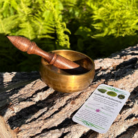 Tibetan Singing Bowl with Moldavite #66-Moldavite Life