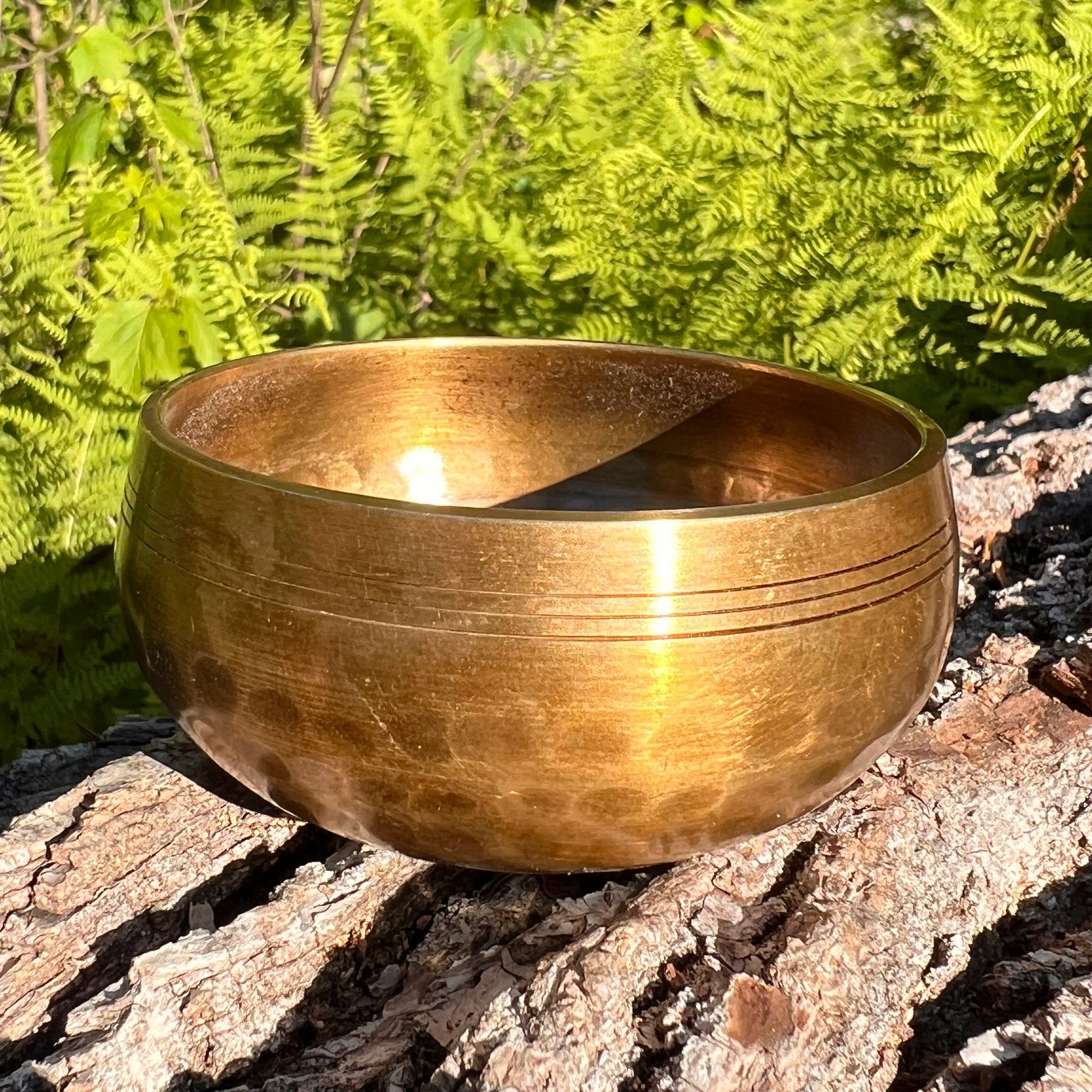 Tibetan Singing Bowl with Moldavite #66-Moldavite Life