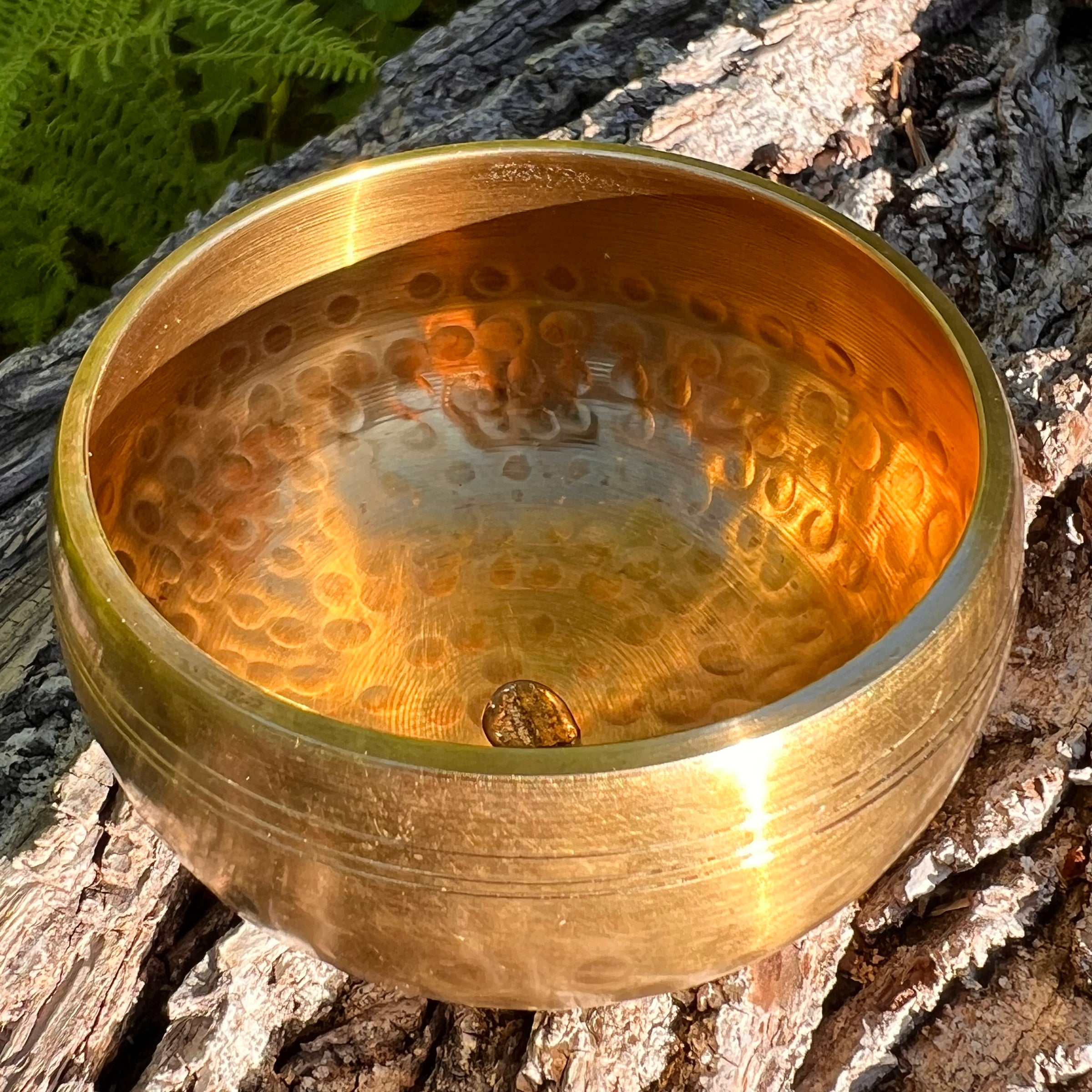 Tibetan Singing Bowl with Moldavite #68-Moldavite Life