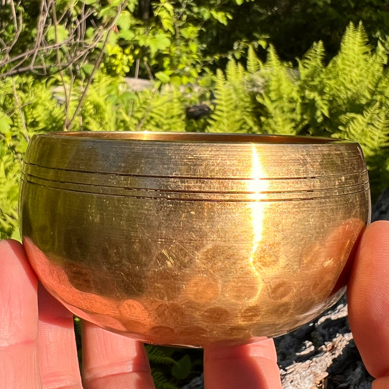 Tibetan Singing Bowl with Moldavite #68-Moldavite Life