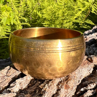 Tibetan Singing Bowl with Moldavite #68-Moldavite Life