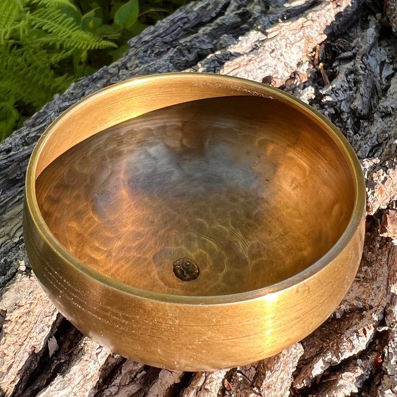 Tibetan Singing Bowl with Moldavite #69-Moldavite Life