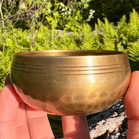 Tibetan Singing Bowl with Moldavite #69-Moldavite Life