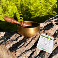 Tibetan Singing Bowl with Moldavite #69-Moldavite Life