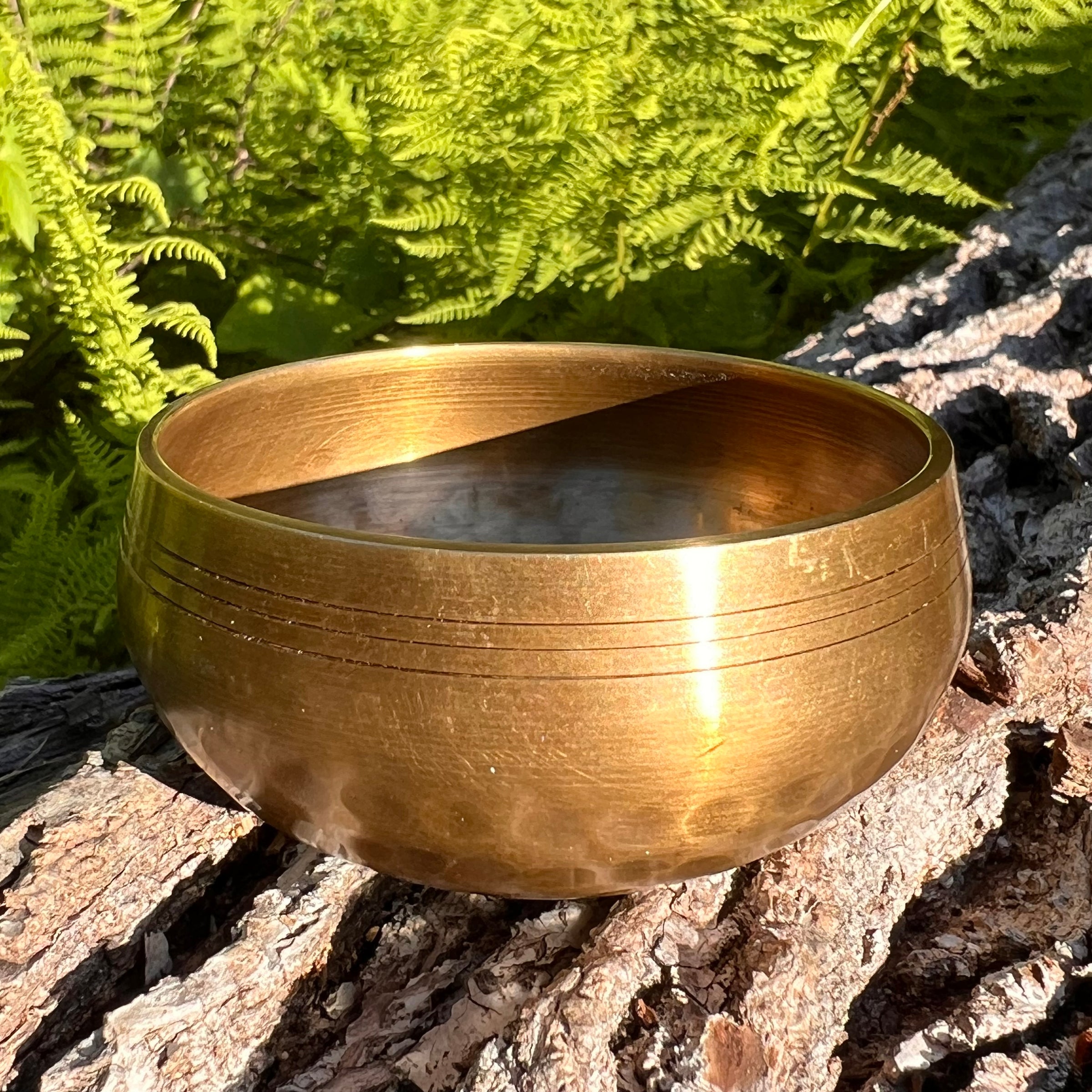 Tibetan Singing Bowl with Moldavite #69-Moldavite Life