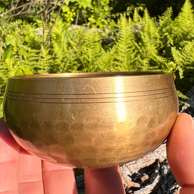 Tibetan Singing Bowl with Moldavite #70-Moldavite Life