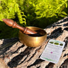 Tibetan Singing Bowl with Moldavite #70-Moldavite Life