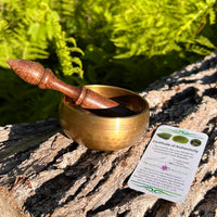 Tibetan Singing Bowl with Moldavite #70-Moldavite Life
