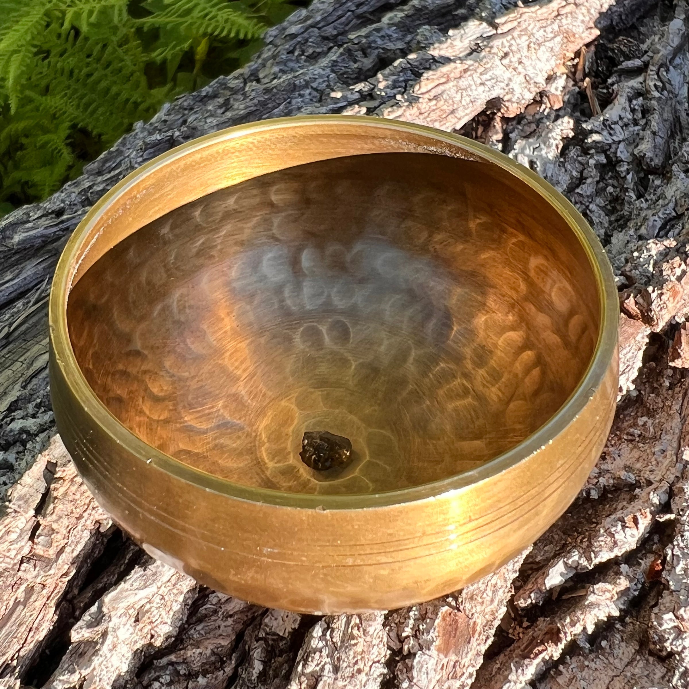 Tibetan Singing Bowl with Moldavite #71-Moldavite Life
