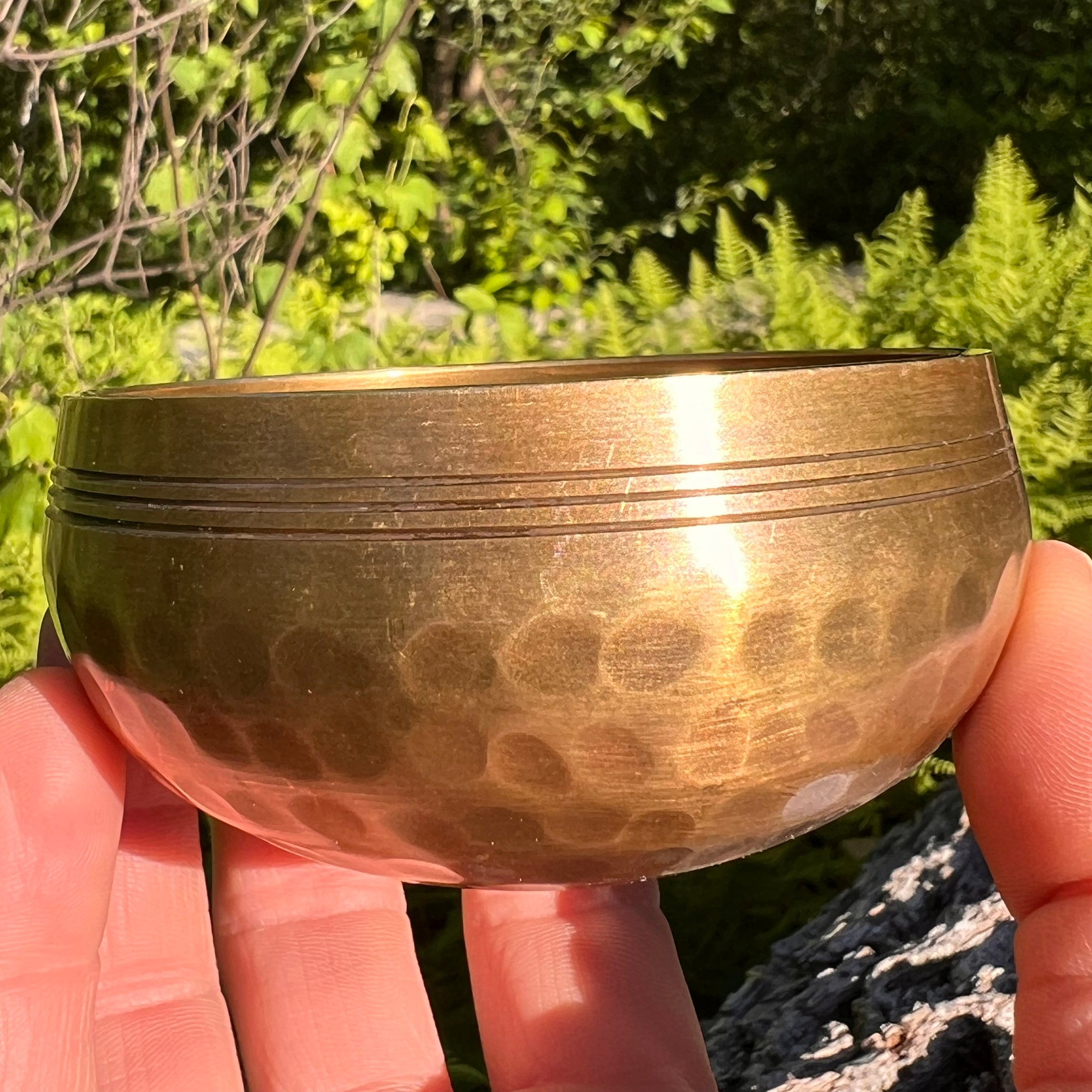 Tibetan Singing Bowl with Moldavite #71-Moldavite Life