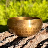 Tibetan Singing Bowl with Moldavite #71-Moldavite Life