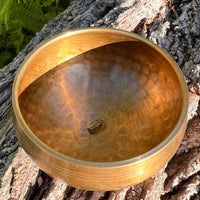 Tibetan Singing Bowl with Moldavite #72-Moldavite Life