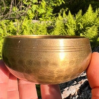 Tibetan Singing Bowl with Moldavite #72-Moldavite Life
