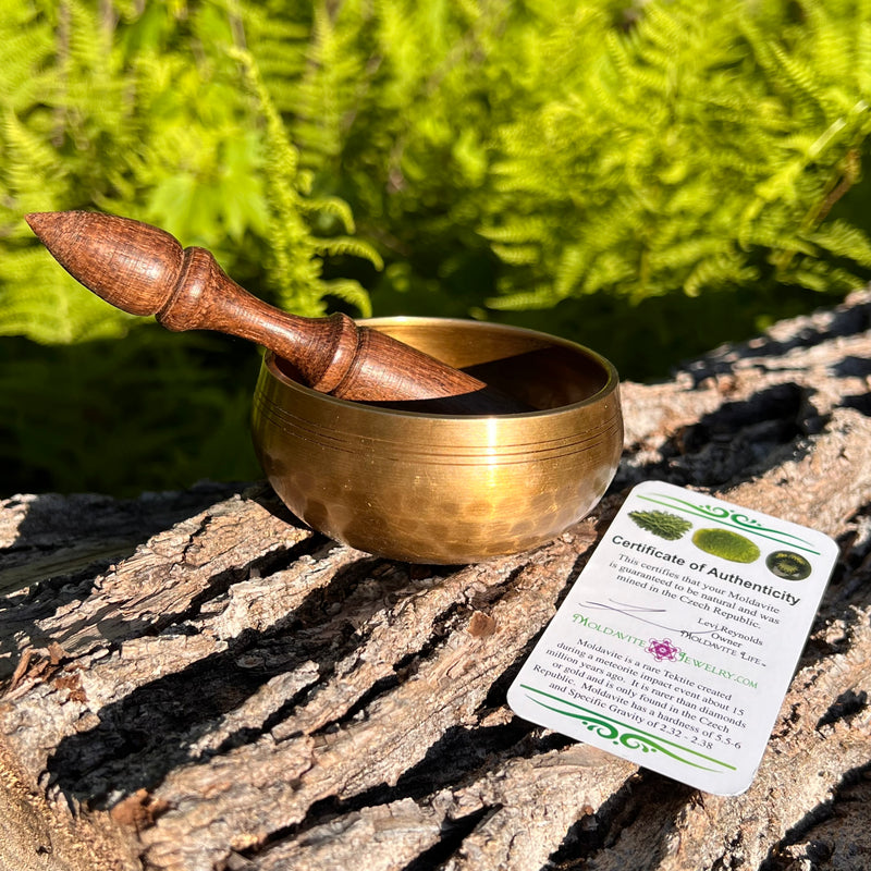 Tibetan Singing Bowl with Moldavite #72-Moldavite Life