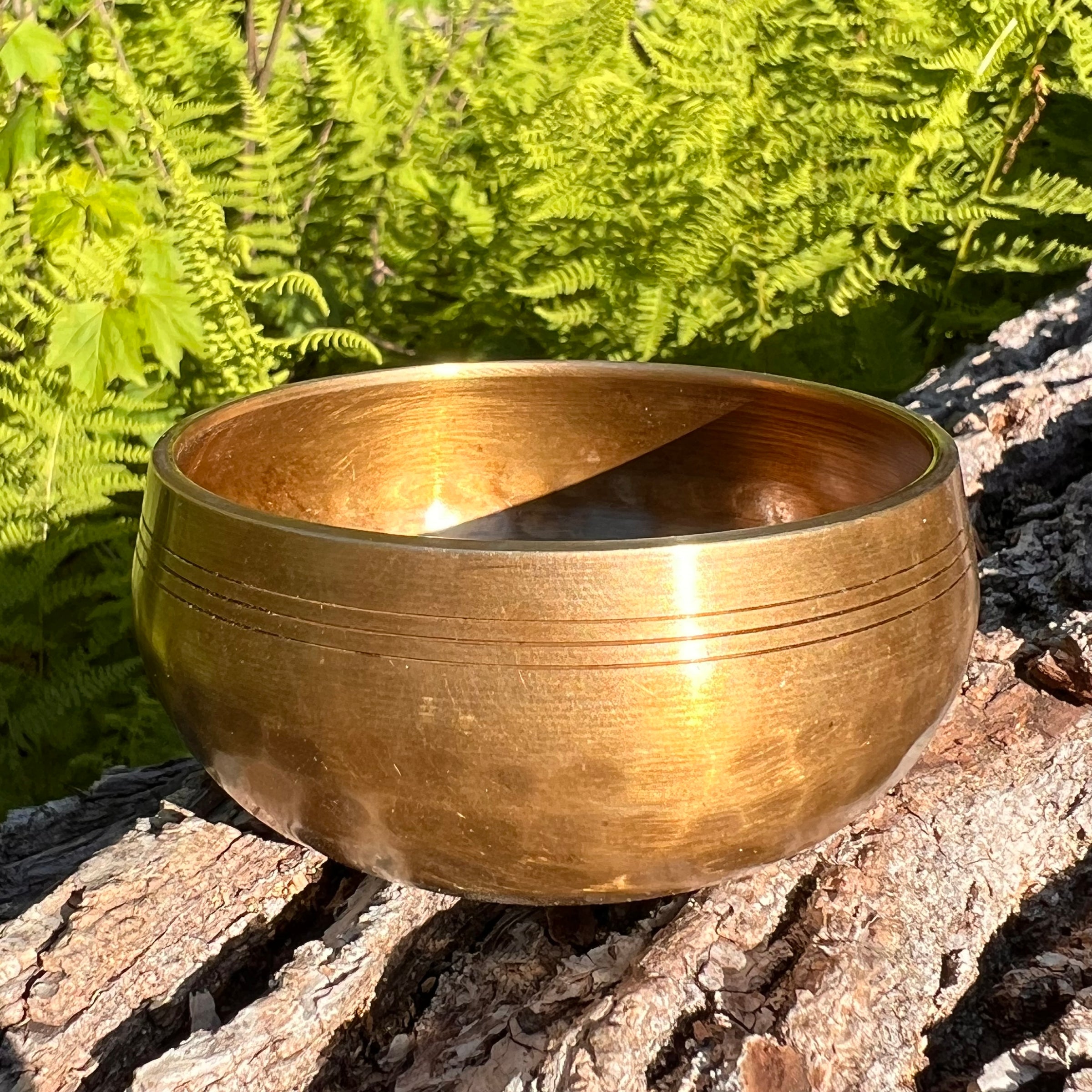 Tibetan Singing Bowl with Moldavite #72-Moldavite Life