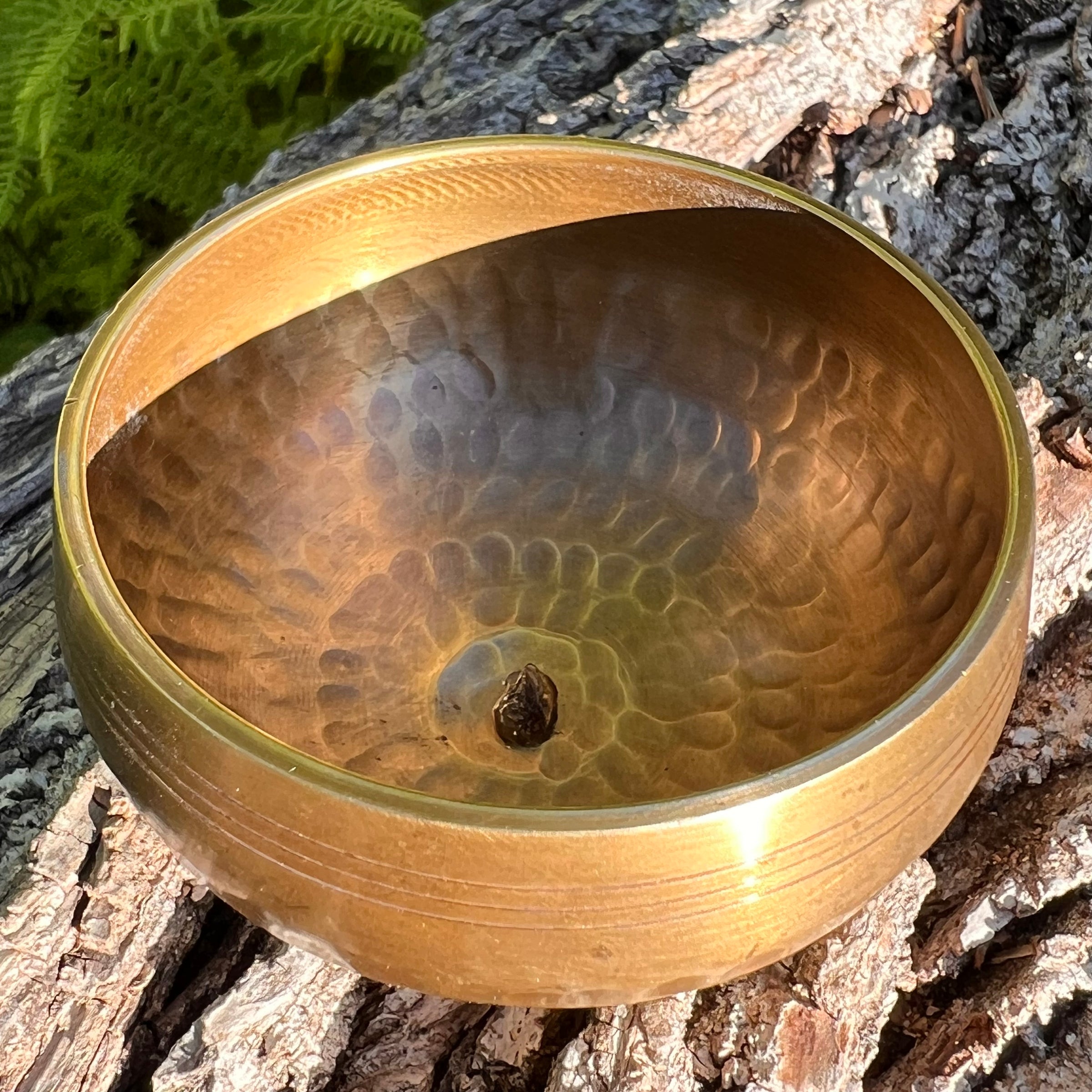 Tibetan Singing Bowl with Moldavite #74-Moldavite Life