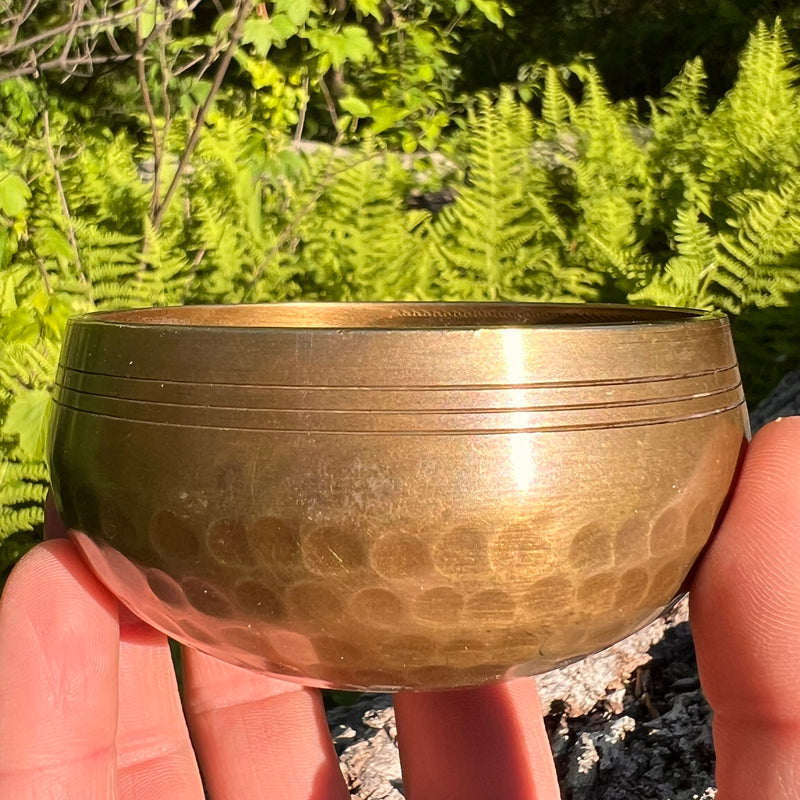 Tibetan Singing Bowl with Moldavite #74-Moldavite Life