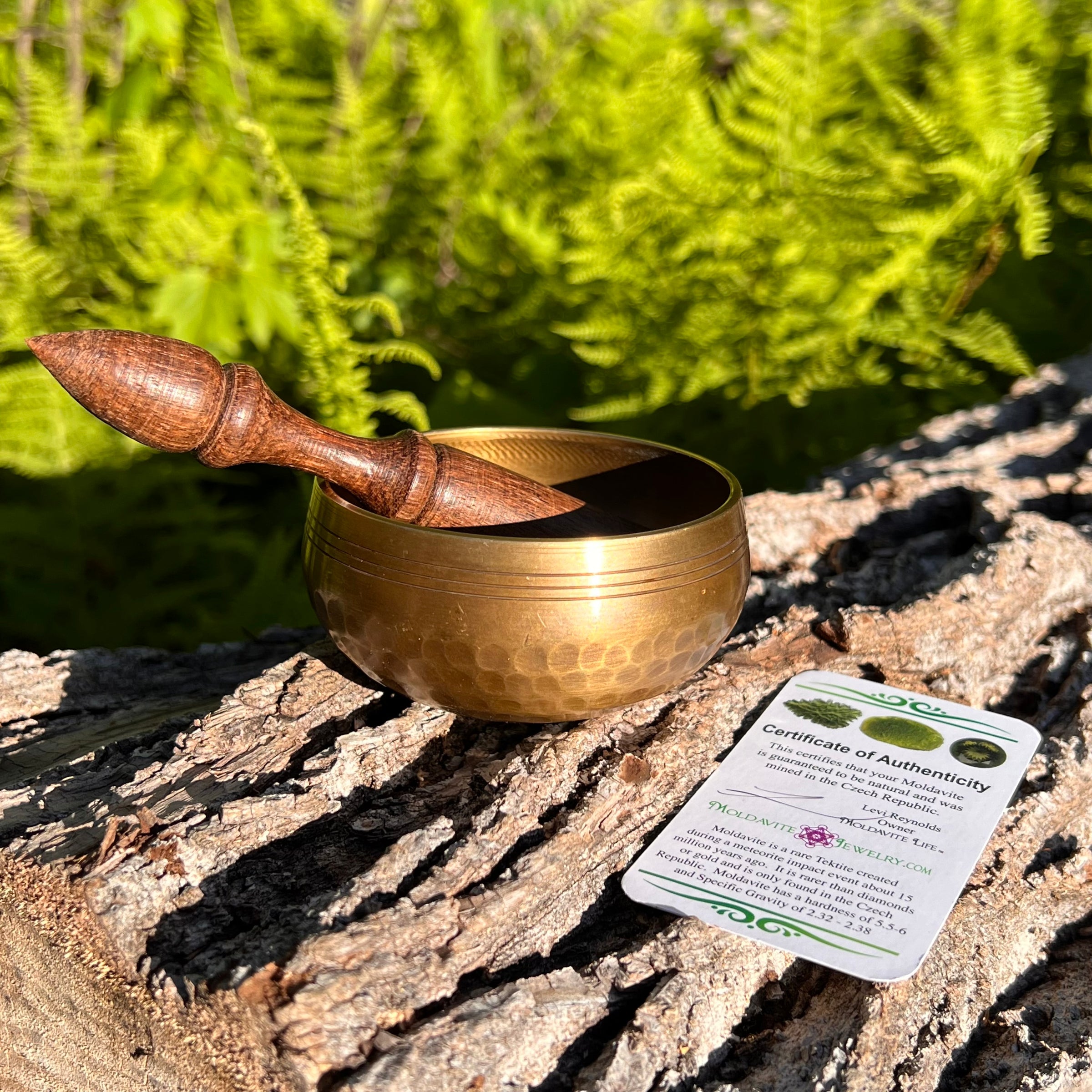 Tibetan Singing Bowl with Moldavite #74-Moldavite Life