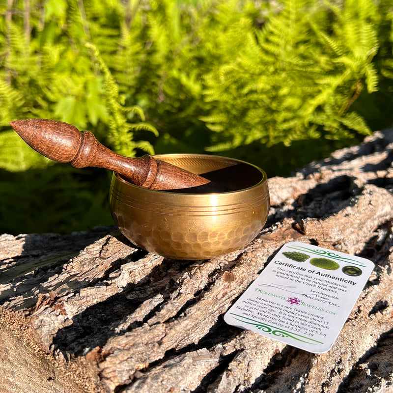 Tibetan Singing Bowl with Moldavite #74-Moldavite Life