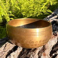 Tibetan Singing Bowl with Moldavite #74-Moldavite Life