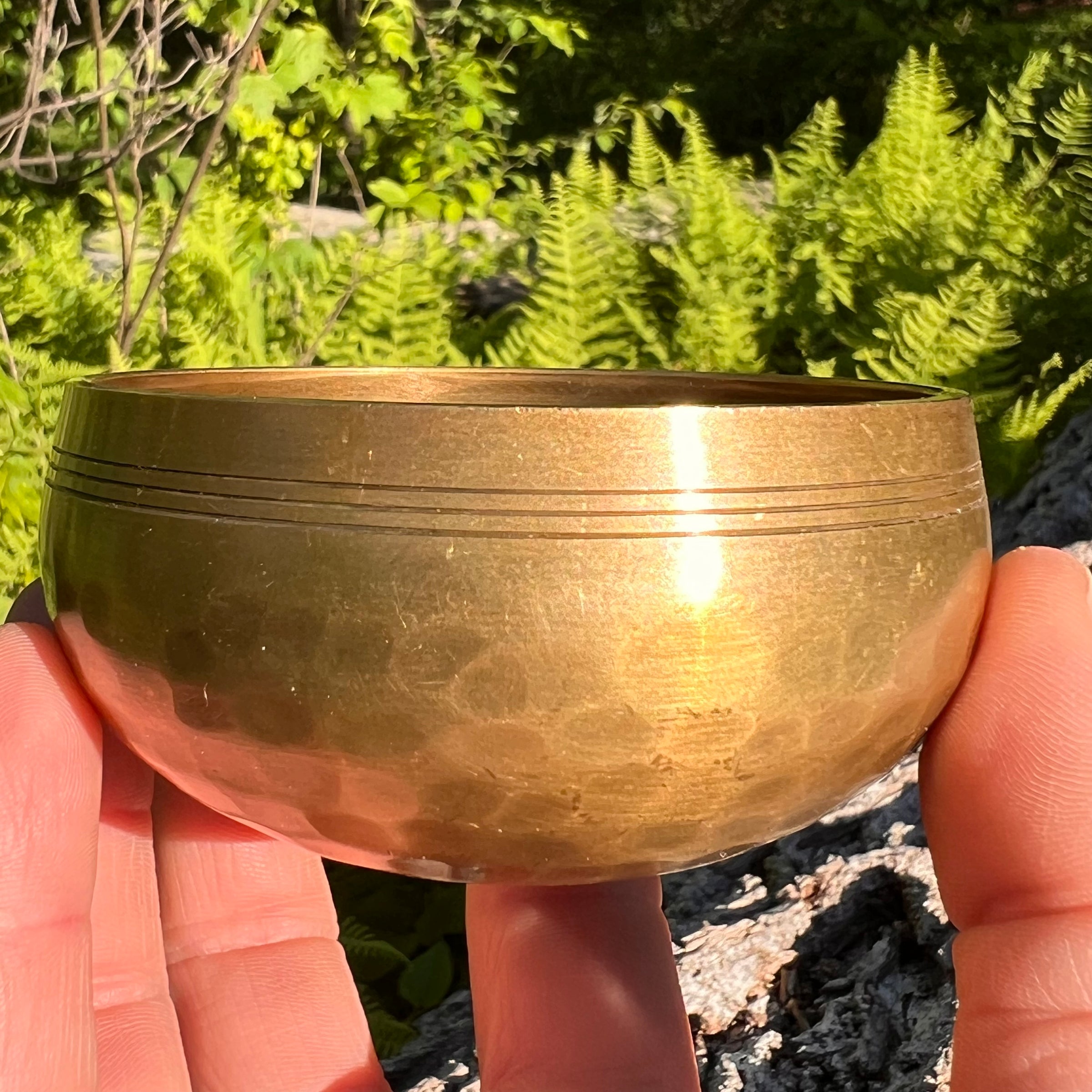 Tibetan Singing Bowl with Moldavite #75-Moldavite Life