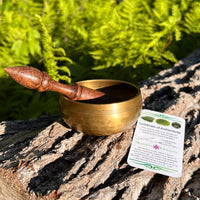 Tibetan Singing Bowl with Moldavite #75-Moldavite Life