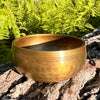 Tibetan Singing Bowl with Moldavite #75-Moldavite Life