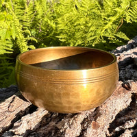 Tibetan Singing Bowl with Moldavite #75-Moldavite Life