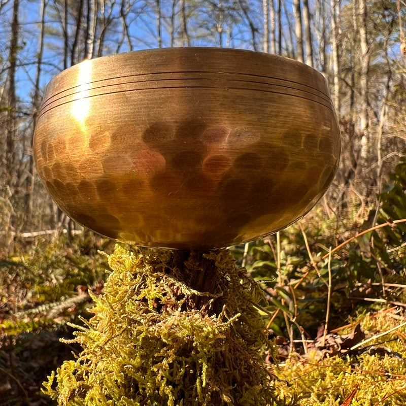 Tibetan Singing Bowl with Petalite #1-Moldavite Life