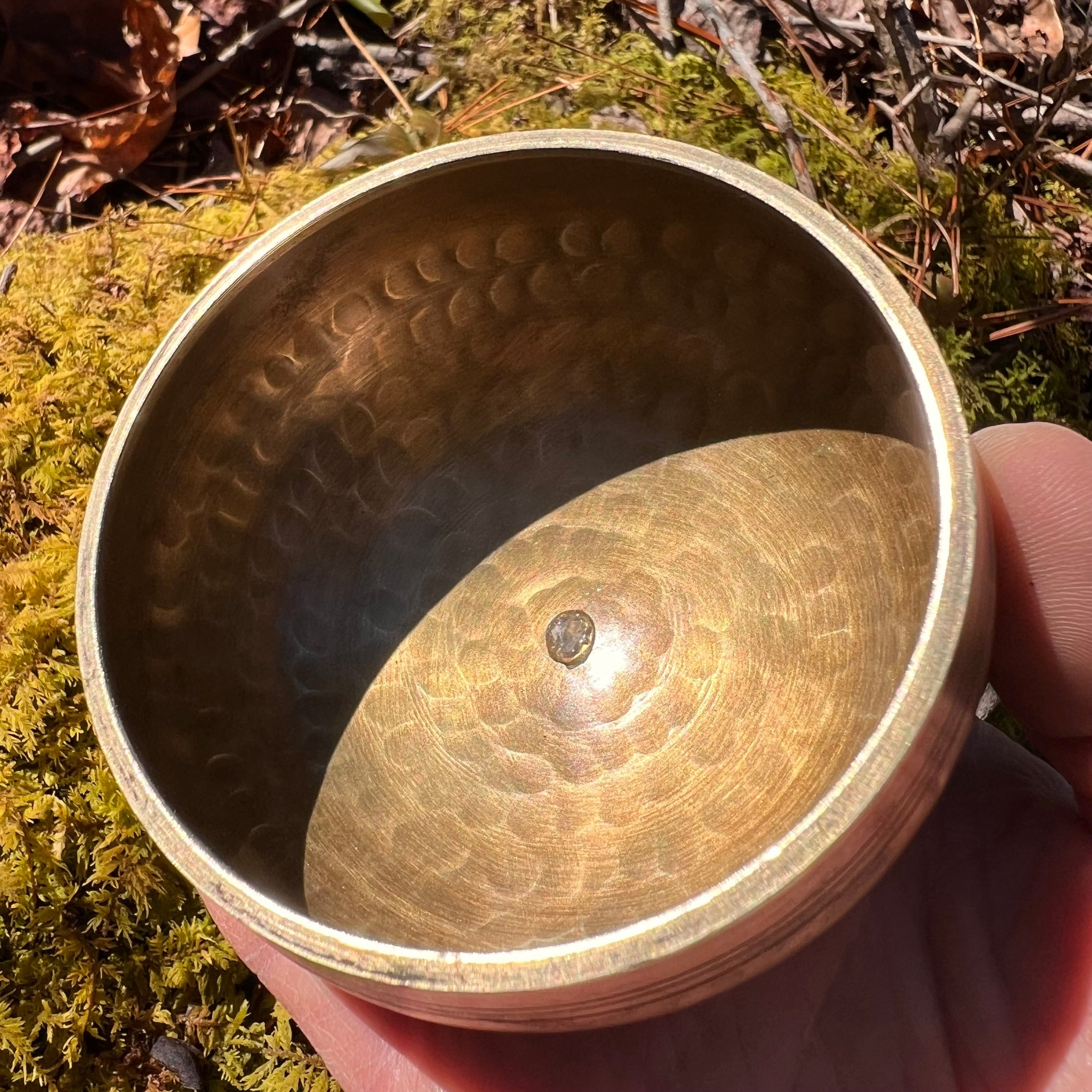 Tibetan Singing Bowl with Phenacite #10-Moldavite Life