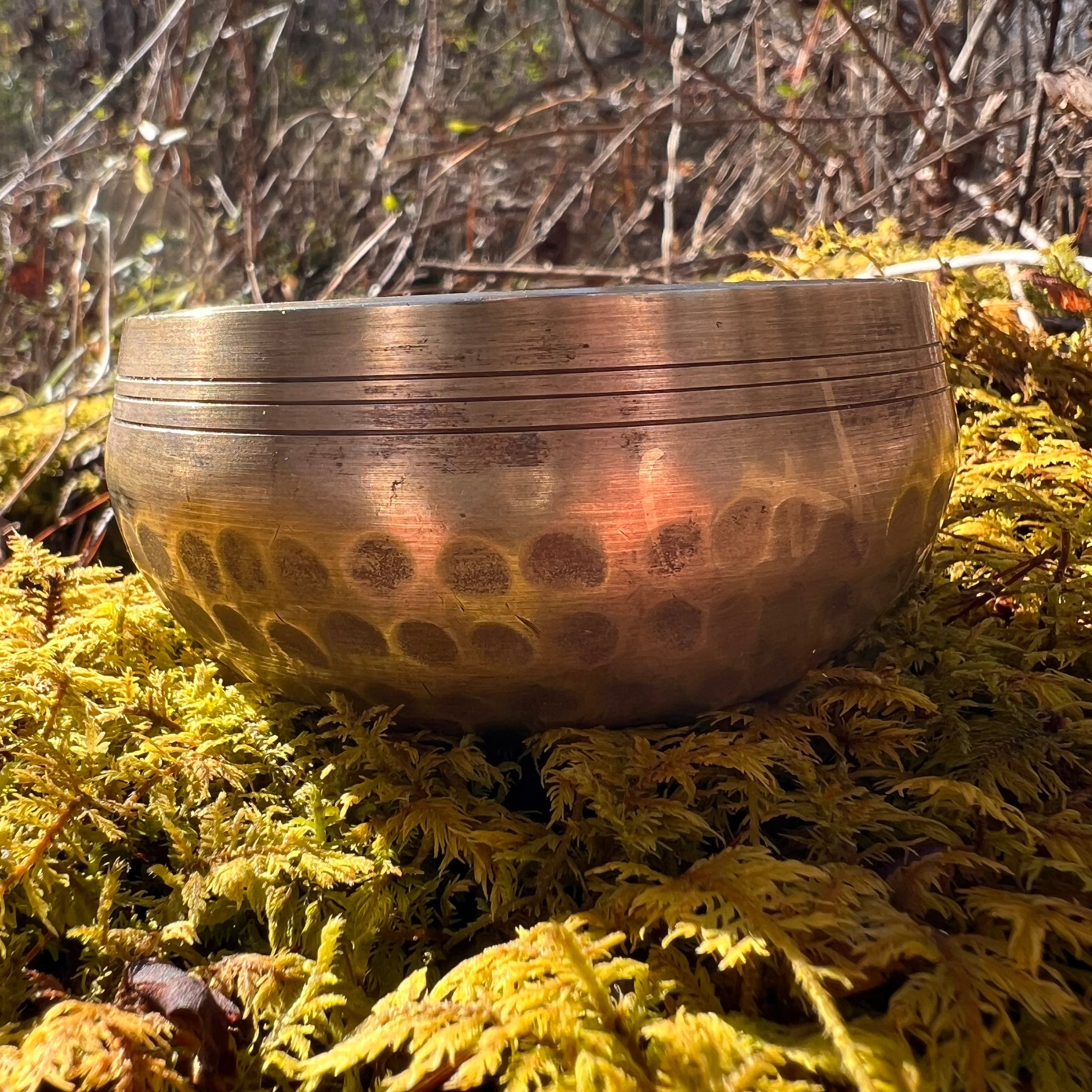 Tibetan Singing Bowl with Phenacite #10-Moldavite Life
