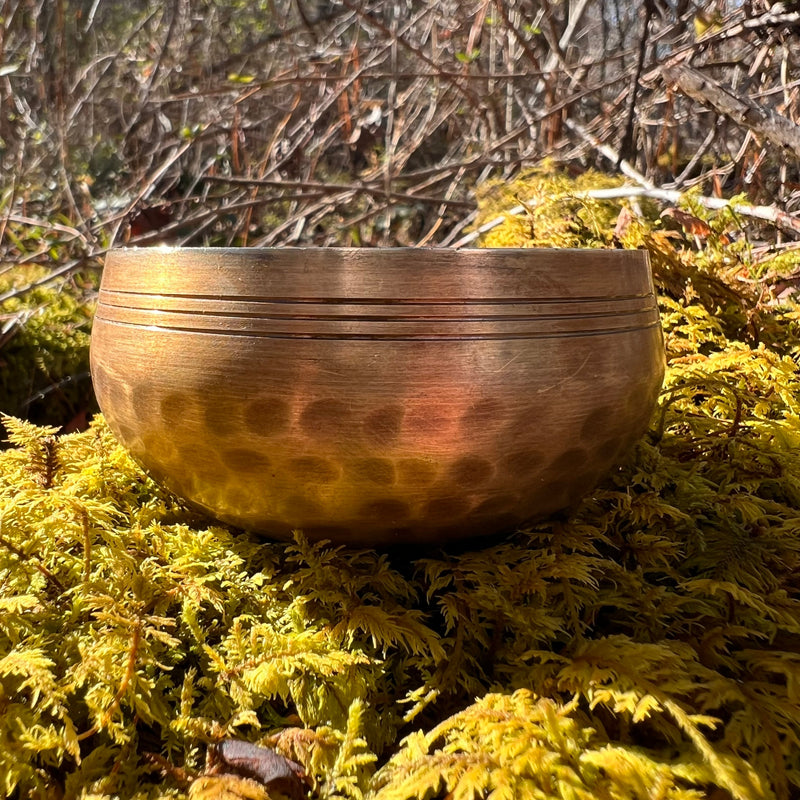 Tibetan Singing Bowl with Phenacite #11-Moldavite Life