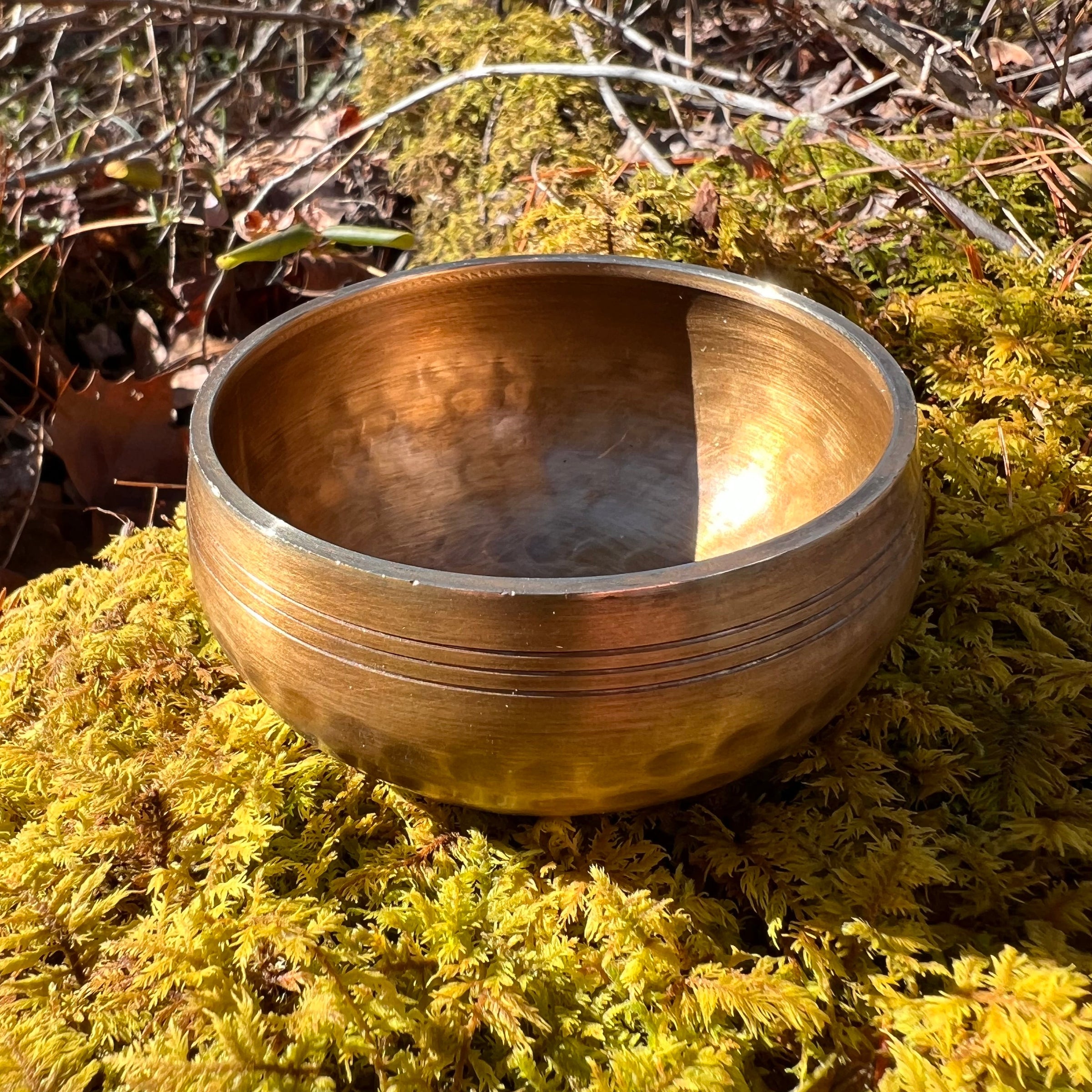 Tibetan Singing Bowl with Phenacite #11-Moldavite Life