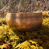 Tibetan Singing Bowl with Phenacite #8-Moldavite Life